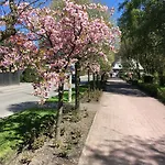 Apartment Nad Potoczkiem *